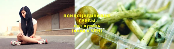2c-b Михайлов