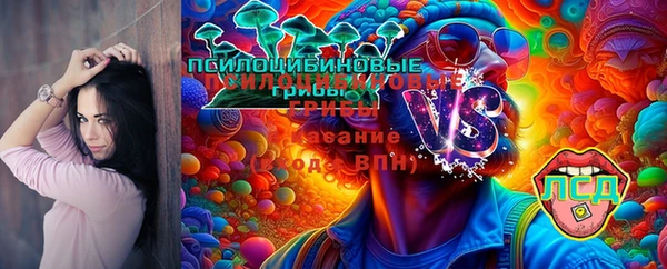 ALPHA PVP Михайловск