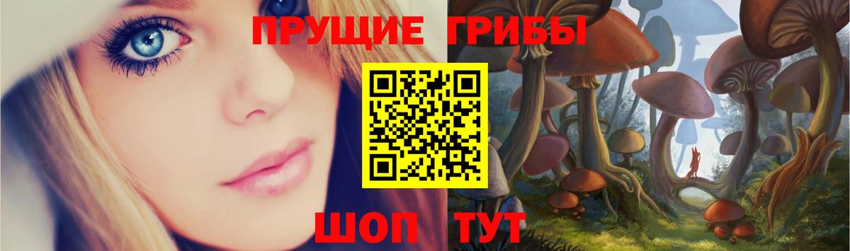 Георгиевск  Галлюциногенные грибы Psilocybine cubensis  Вход с VPN  Галлюциногенные грибы мухоморы 