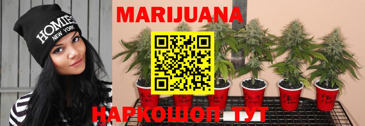 МАРИХУАНА конопля  Бошки Шишки LSD WEED  Георгиевск  Шишки марихуана White Widow 